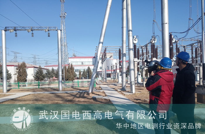 我司為東北超高壓調試絕緣子故障遠距離激光檢測儀