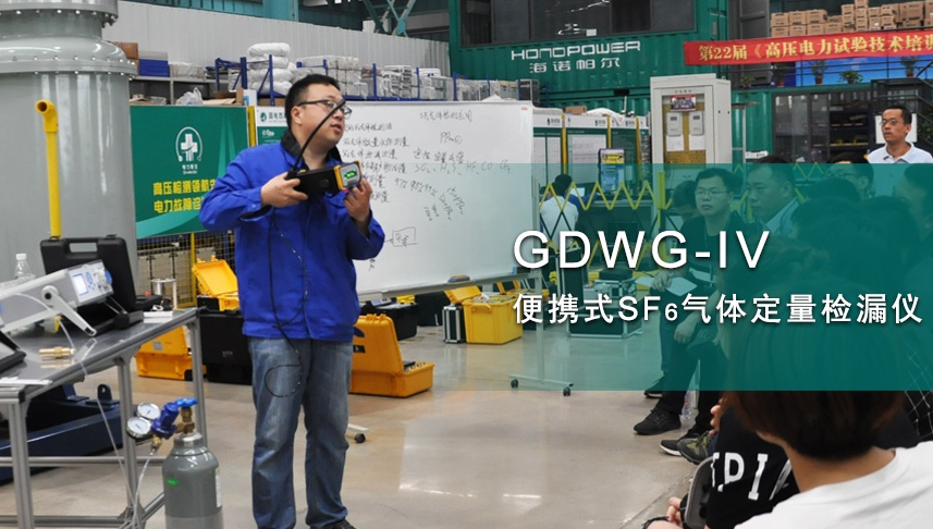 國電西高sf6檢漏儀泄露率標準