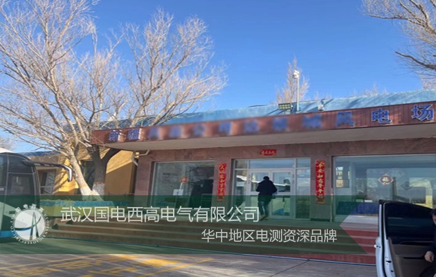 國電西高為新疆客戶提供安裝調(diào)試服務(wù)