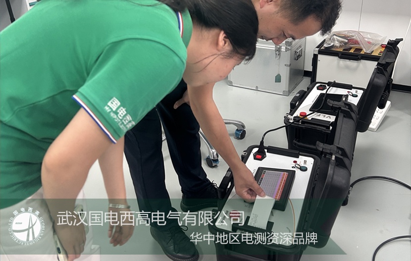 聚焦國際市場 國電西高檢測設備順利完成出口發貨